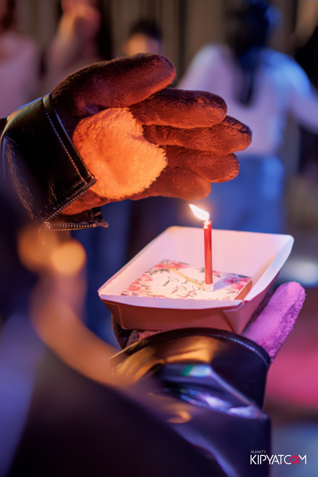 УХО И МЕДВЕДЬ НА КУРМАНГАЗЫ. КИПЯТКОМ АЛМАТЫ!