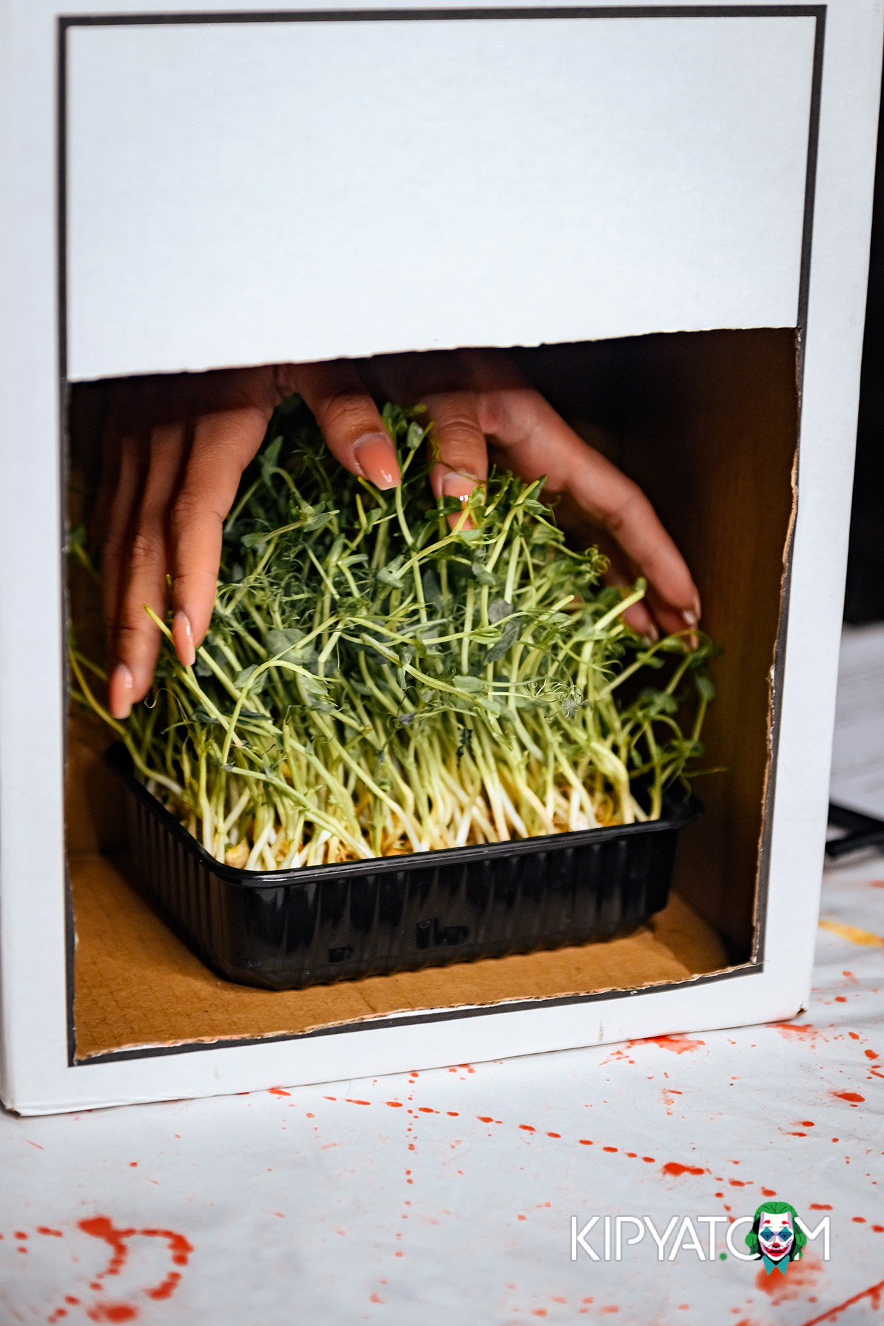 LOKO BAR. КИПЯТКОМ АЛМАТЫ!