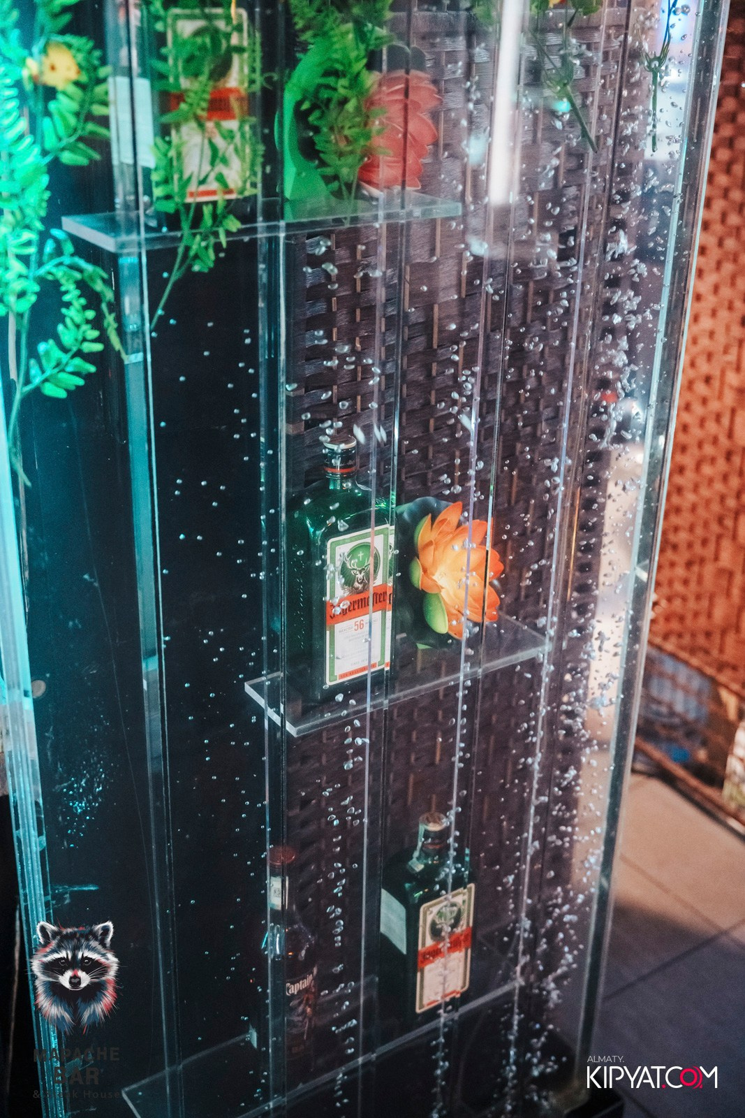 MAPACHE BAR. КИПЯТКОМ АЛМАТЫ! Фотосъемка мероприятий в Алматы