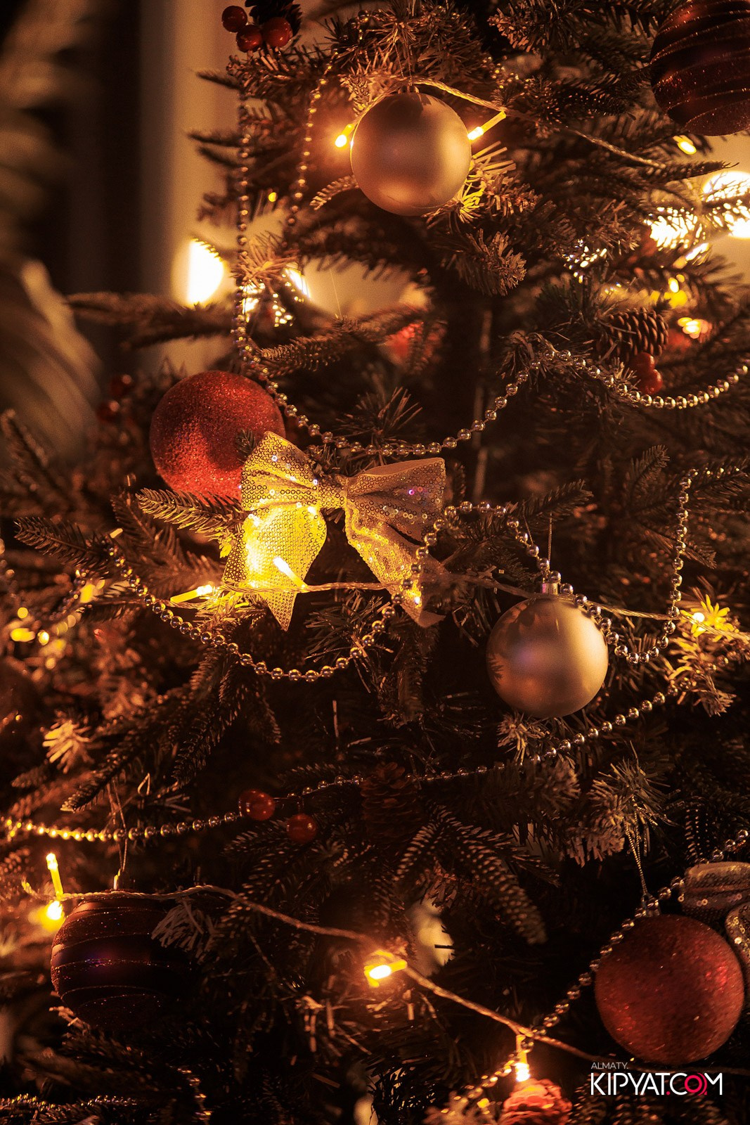 VICE CITY. КИПЯТКОМ АЛМАТЫ! Фотосъемка мероприятий в Алматы