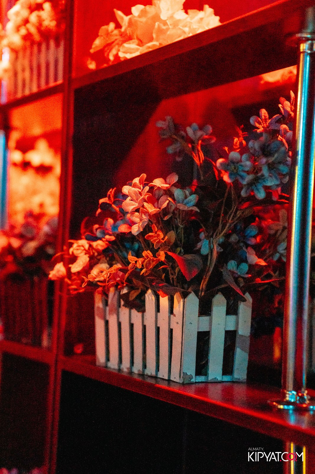 ARAGOSTA. КИПЯТКОМ АЛМАТЫ! Фотосъемка мероприятий в Алматы