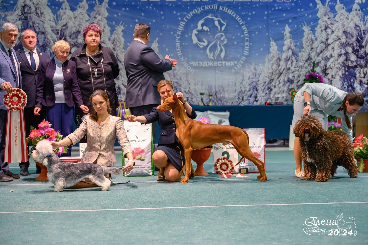 Отзывы. Фотограф анималист Елена Галдина г. Красноярск
