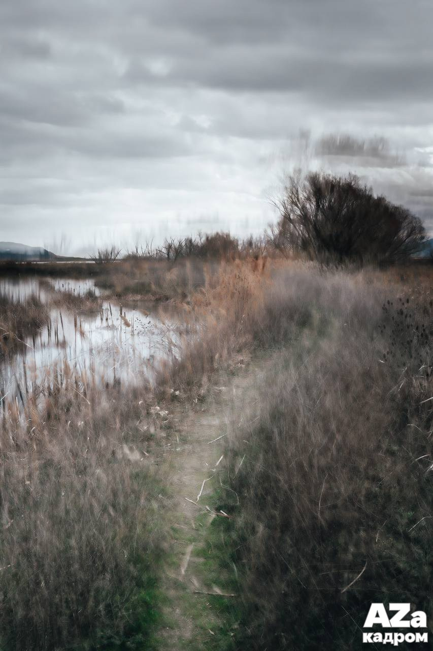 AZакадром Импрессинизм. Женский семейный фотограф Тула Москва Захарова Анна