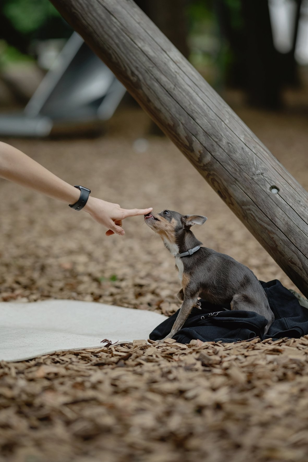 Йога с Ксенией. Семейный фотограф и анималист в Москве и Московской области