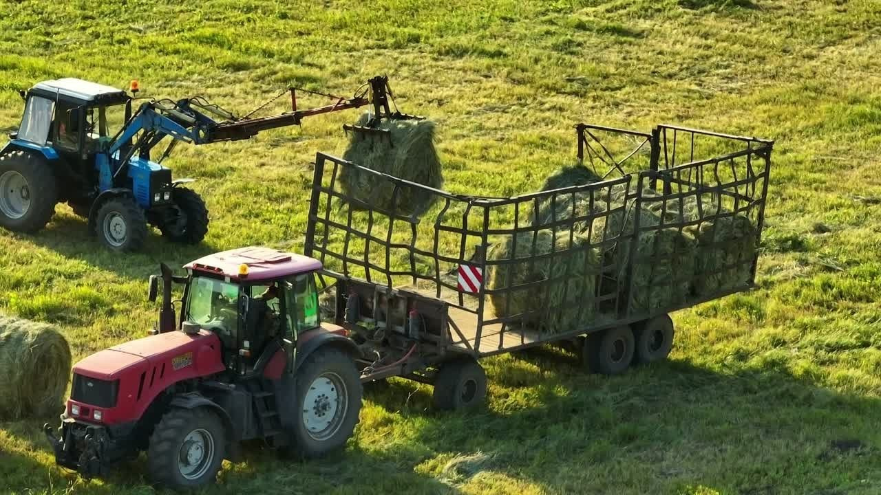 Коммерция. Director of photography, cinematographer