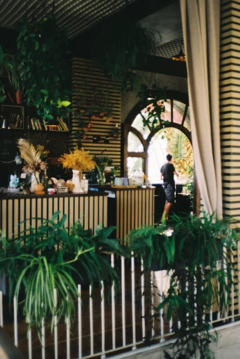 Плёночная история. Фотограф Новгородская Полина | Москва