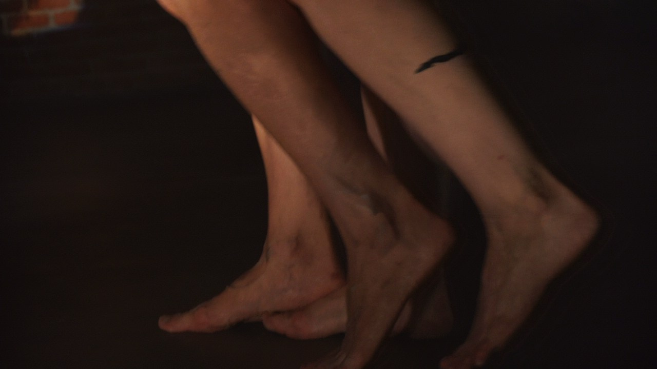 Красное дерево. Фото / Видеосъемка в Москве