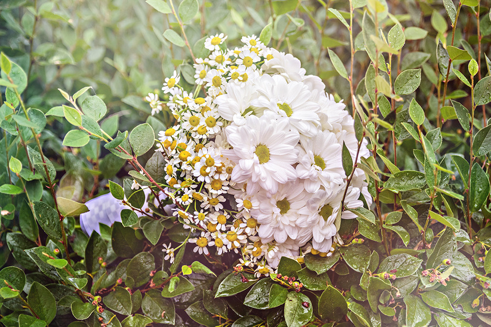 Евгений и Ярослава. Свадьба. Фотограф Регина Крикунова г. Красноярск