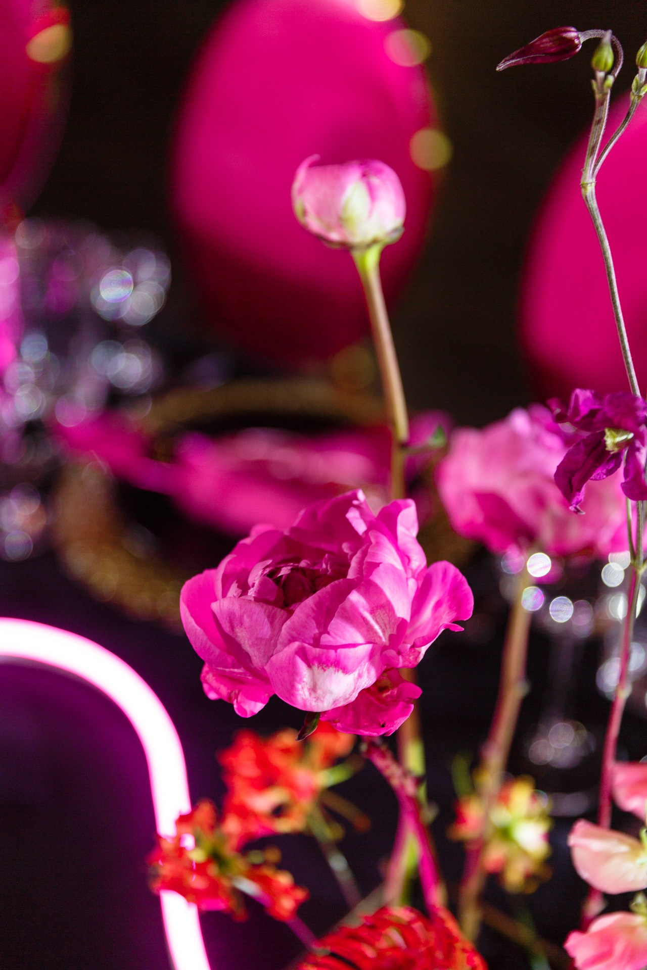 Pink neon. Свадебный фотограф в Санкт-Петербурге Наталья Вендт