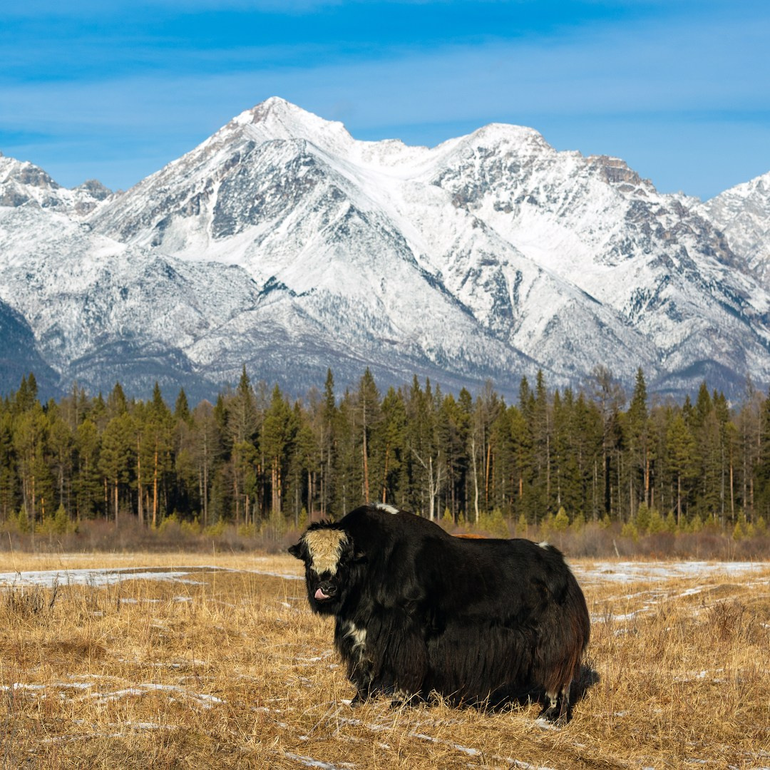 Саяны. Илья Буянов, гид по Байкалу, фотограф — baikalsky.com