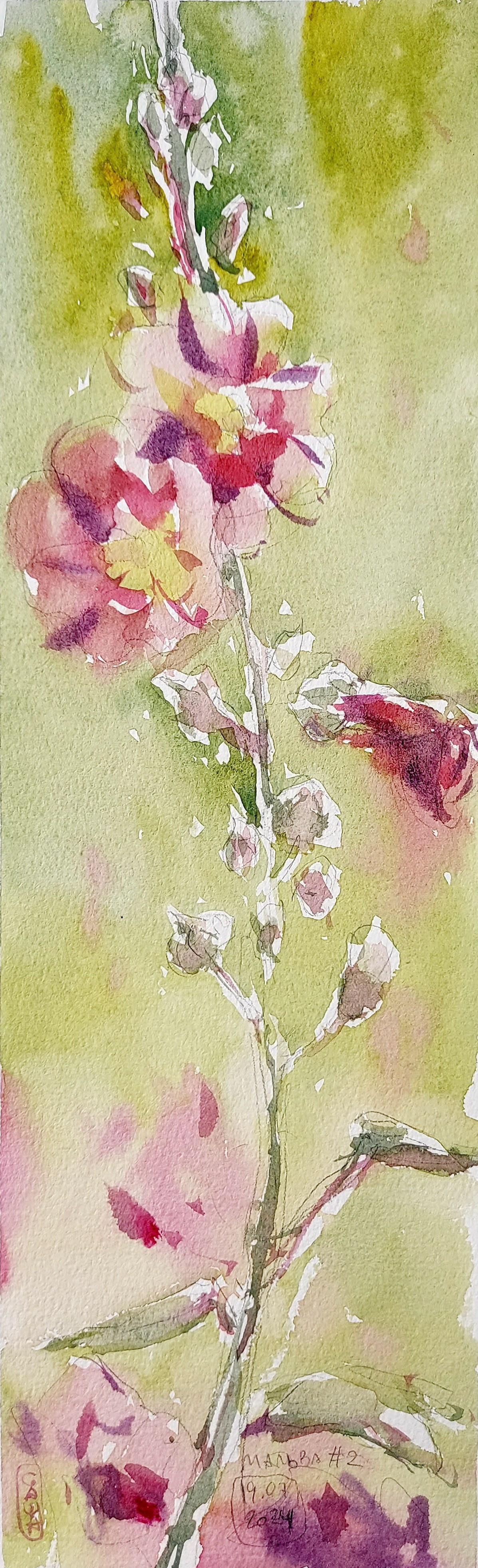 Flowers. Alexander Manaenkov | Watercolor Artist from Siberia