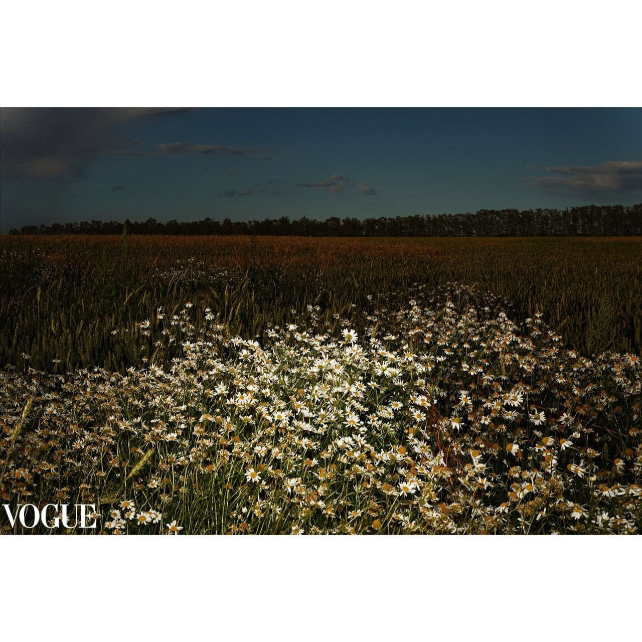 Курс " Вспышки"