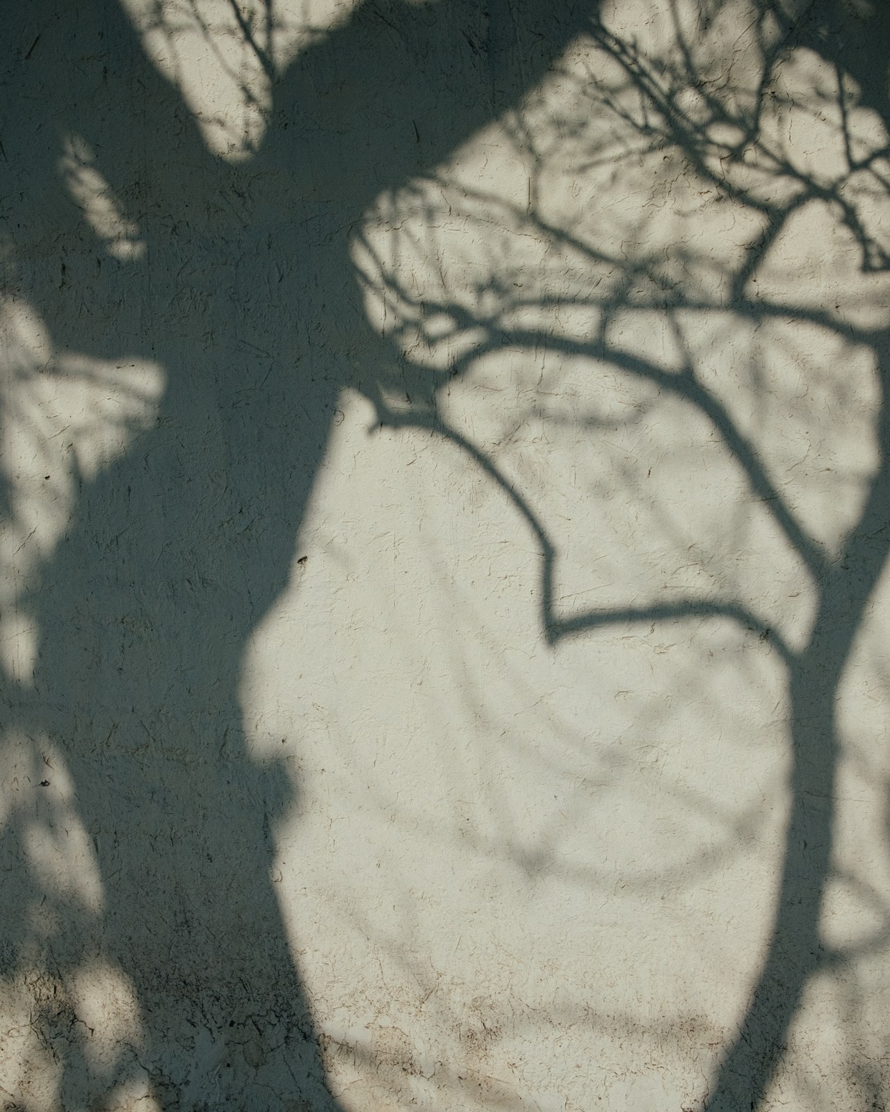 Узбекистан. Фотограф Дмитрий Олрайт | Калуга, Россия