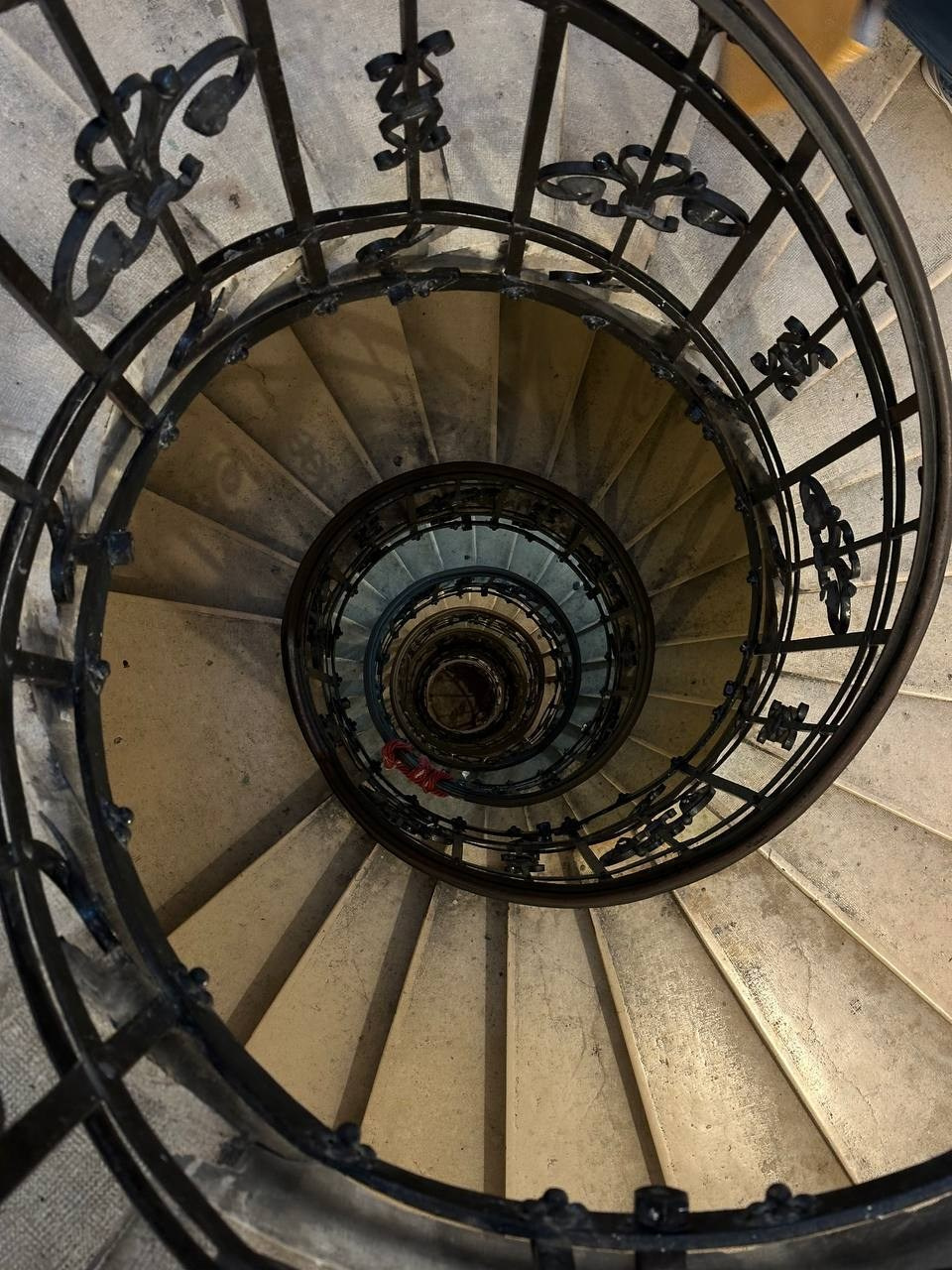 Распродажа курса: «Мобильная фотография». Алла Шевченко — продюсер — наставник