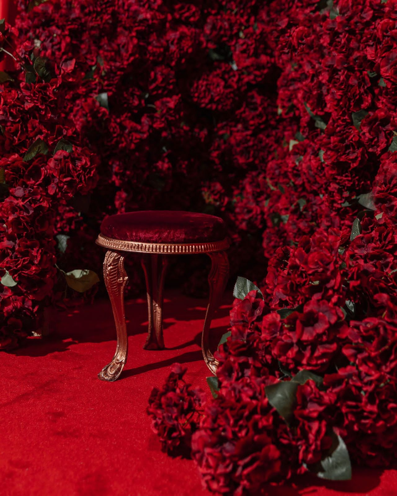 КАЙЛИ. Фотосессии в фотостудии Мимика Москва