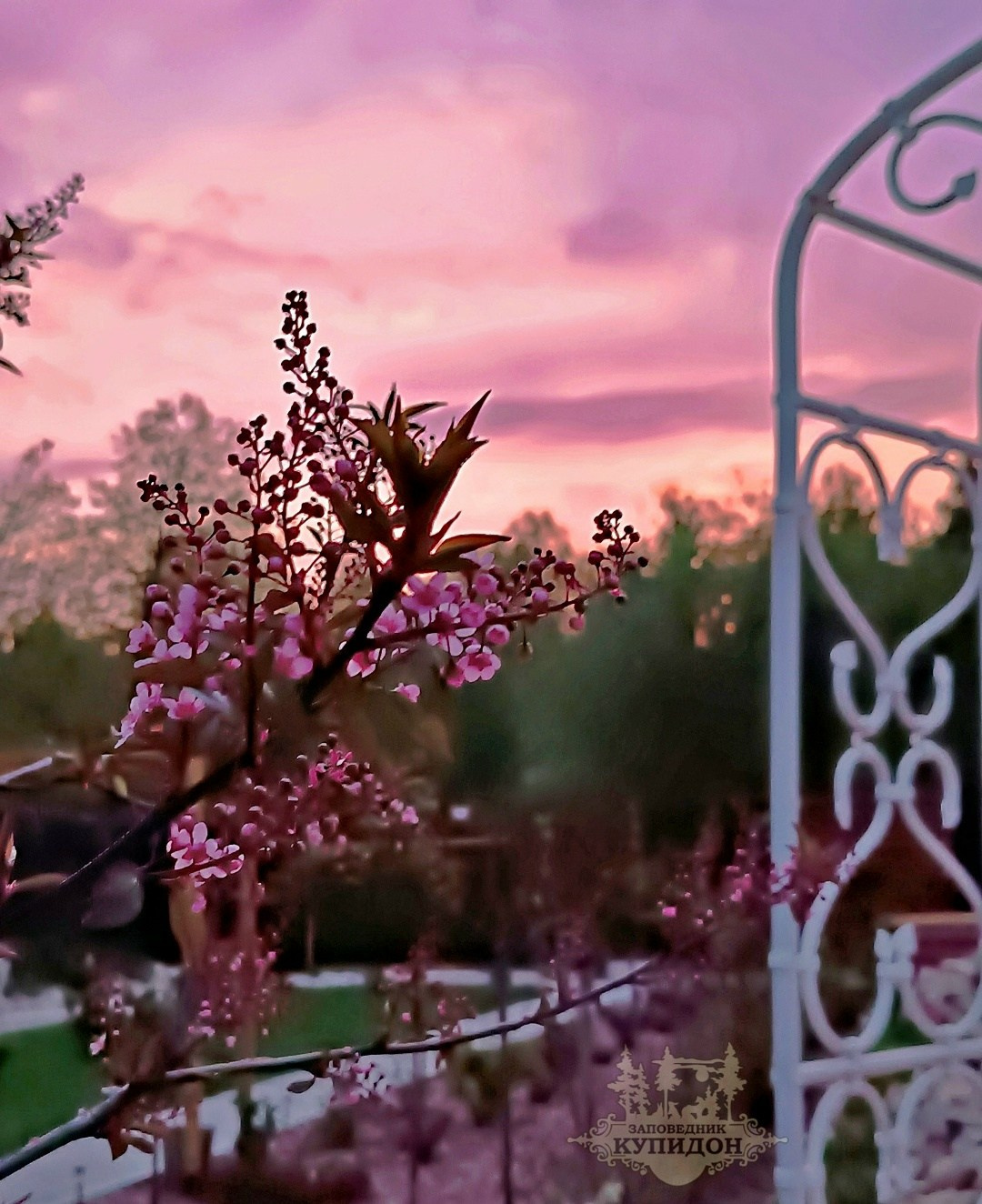 Парк-заповедник Купидон. Семейный фотограф в Димитровграде Елена Патрушева