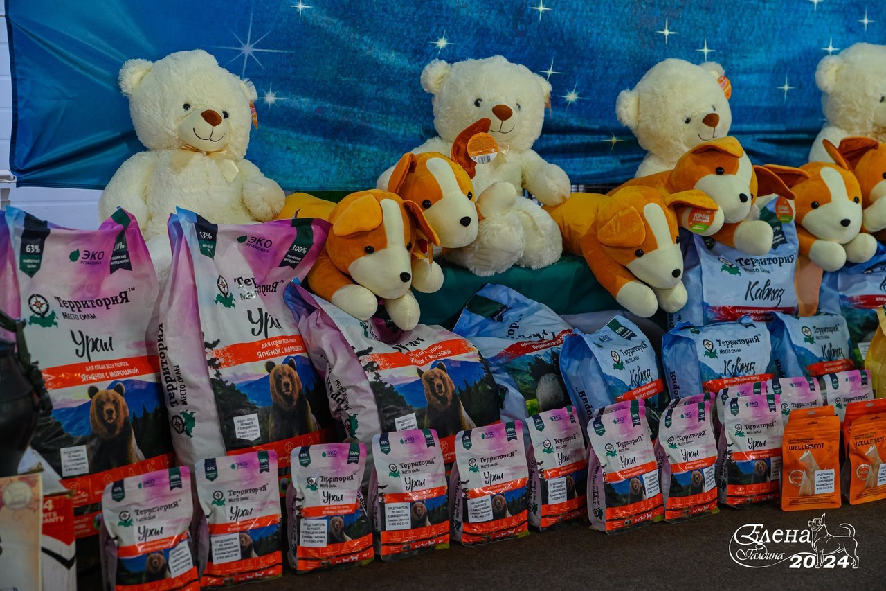 Отзывы. Фотограф анималист Елена Галдина г. Красноярск