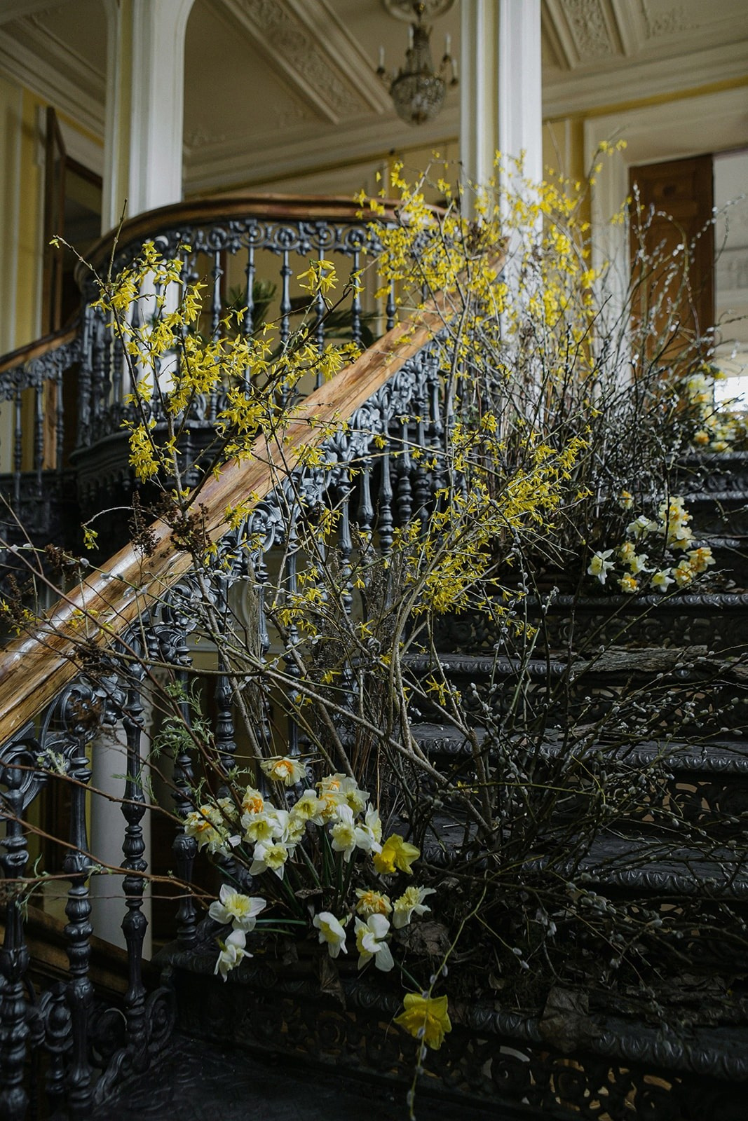 Библиотека им. Пушкина. Оформление свадеб, декор свадеб Вера Маркова, Москва