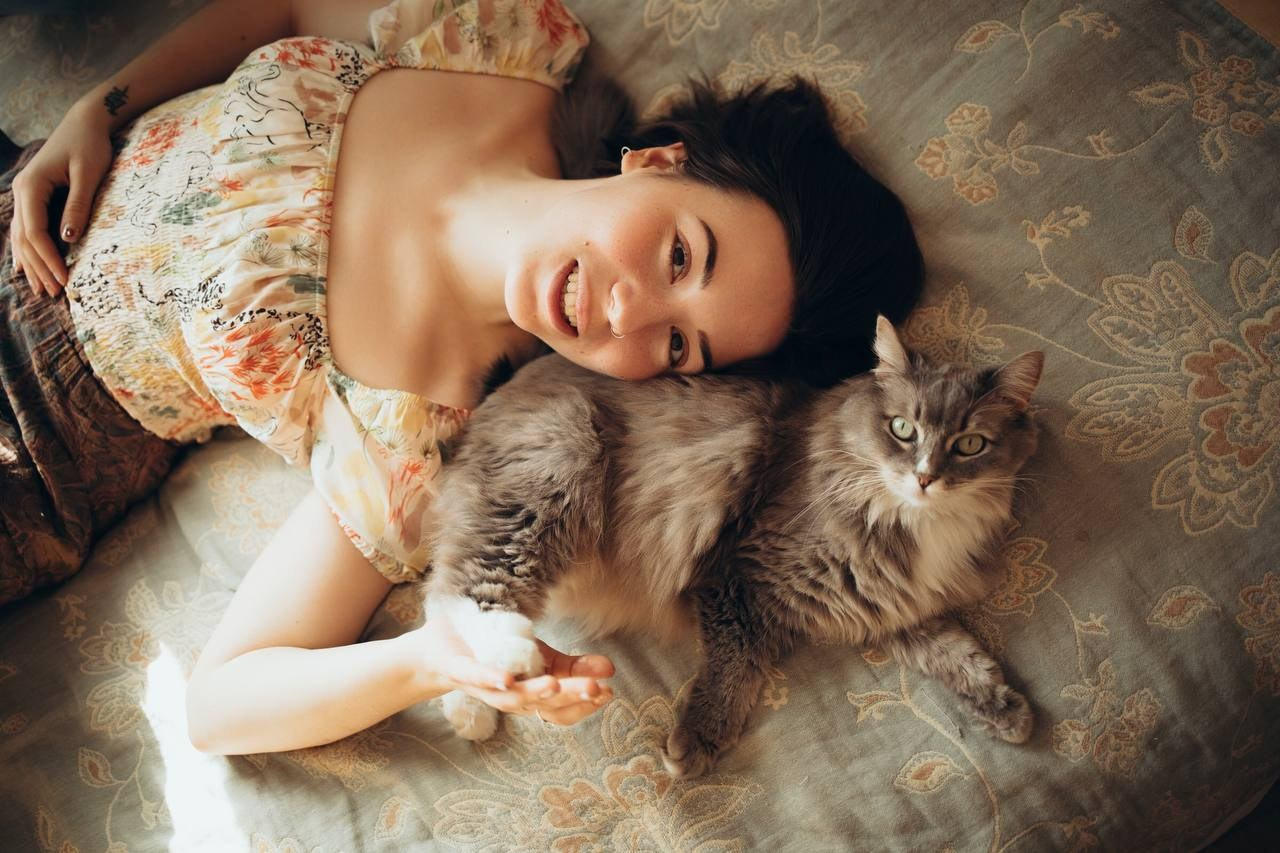 Мурчащие коты. Фотограф в Москве
