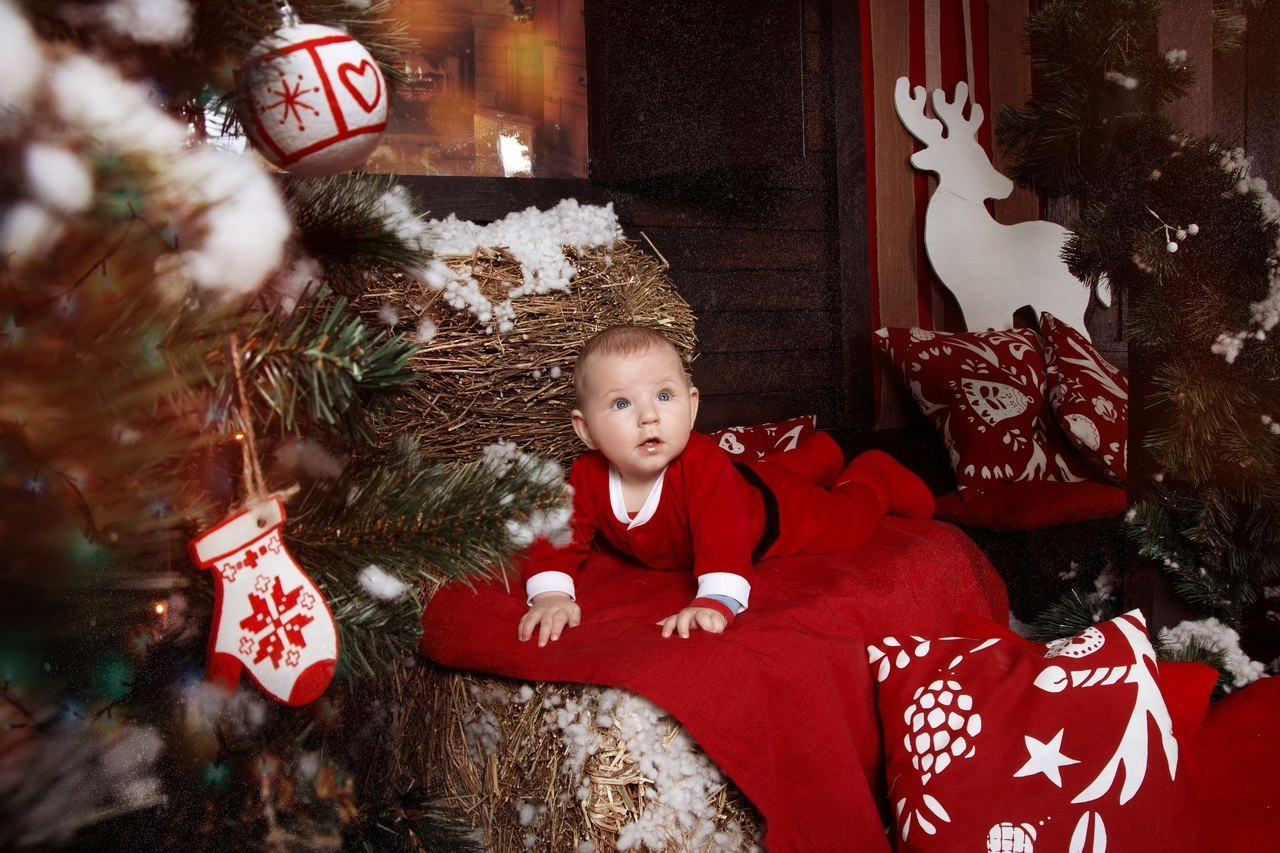 Семейная и Беременность. Свадебный фотограф