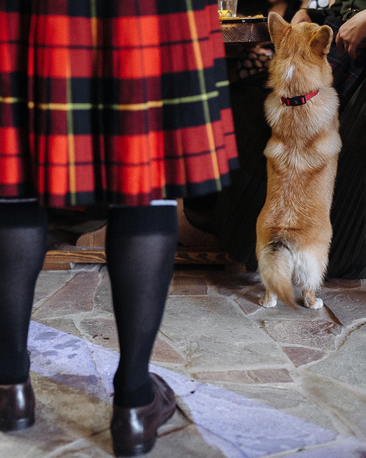 Детали, подборка лучших свадебных фотографий. Свадебный фотограф в Москве Владимир Барабанов