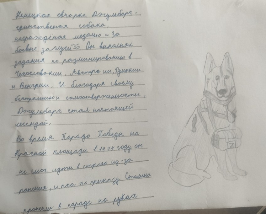 Акция рисунков «Собаки-герои Великой Отечественной войны». НРОО КЦ "Собаковод"