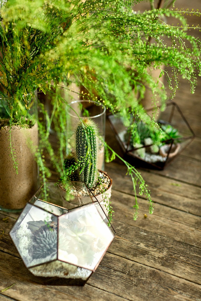 Саша + Аня. Главная