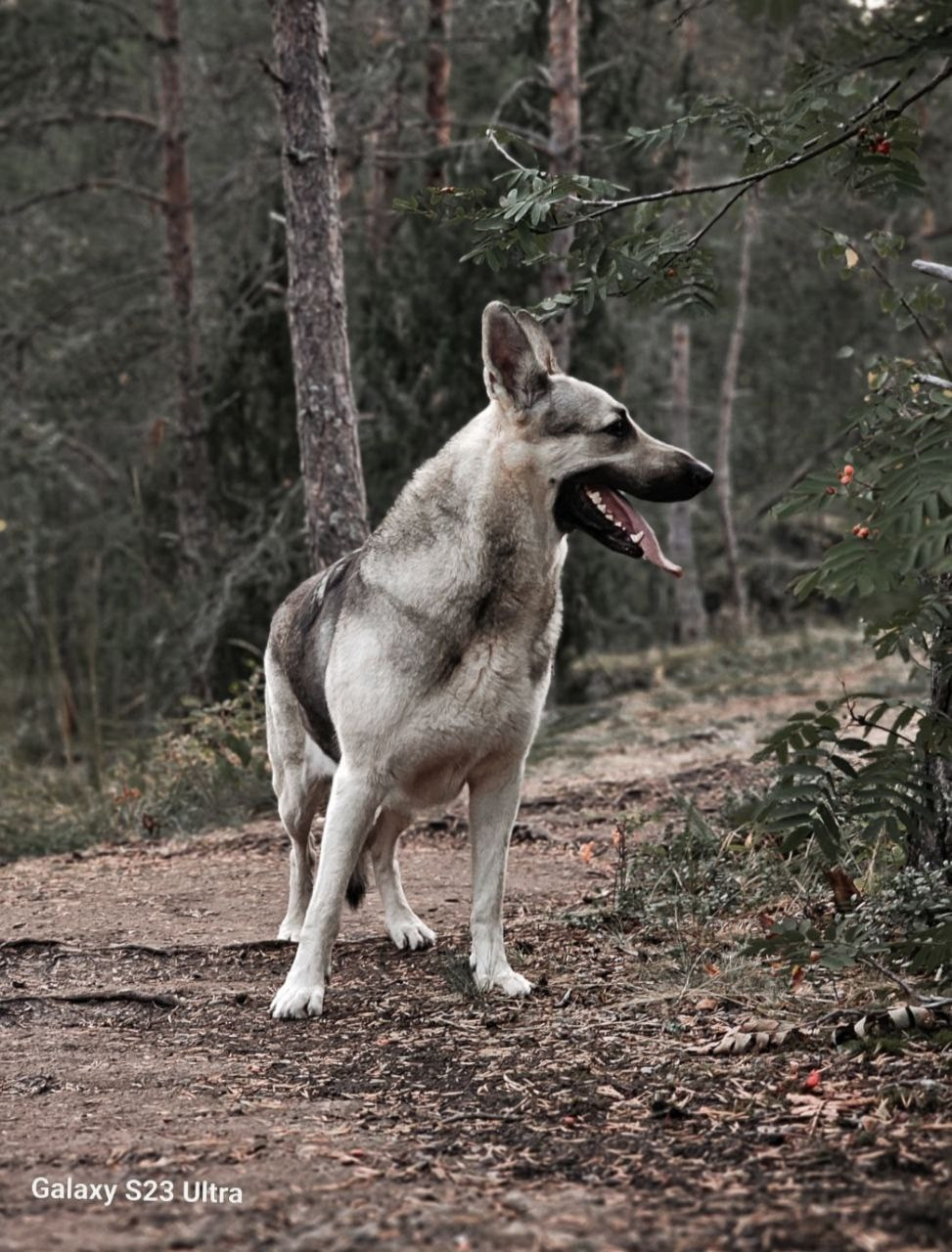 Графический дизайн. Силантьева Наталья фотограф