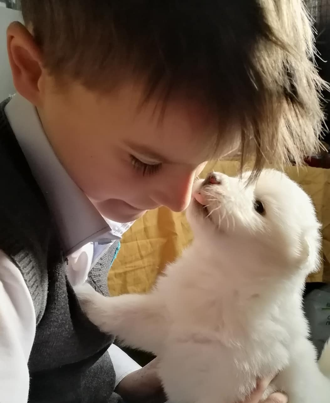 Anka`s Instagram. Заставка