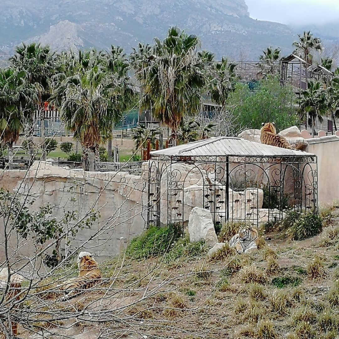 Anka`s Instagram. Заставка