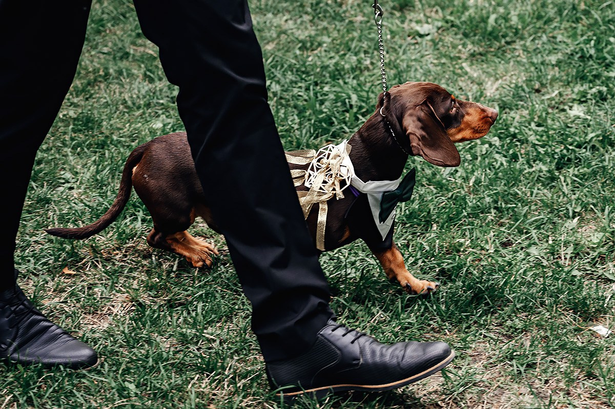 Андрей & Лена. Свадебный и семейный фотограф в Новосибирске — Алексей Гаврилов