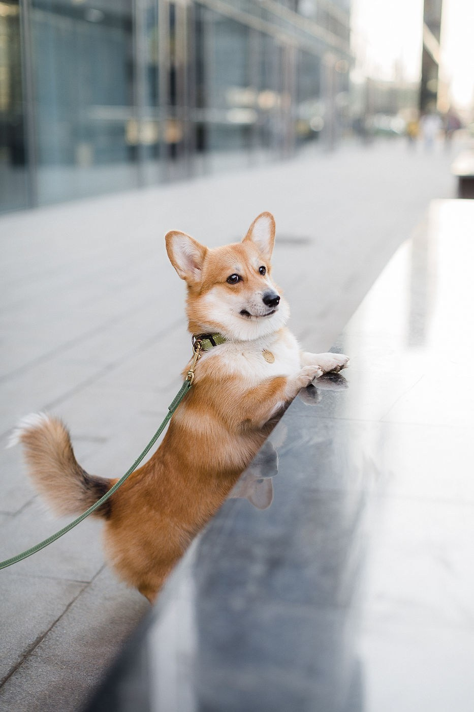 Ангелина и Николай