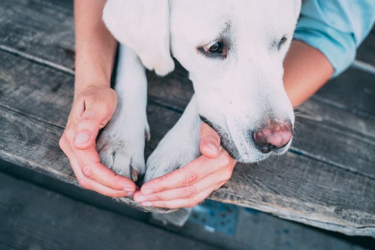 Lovestory. Инесса и Максим. Фотограф в Самаре Екатерина Кроз