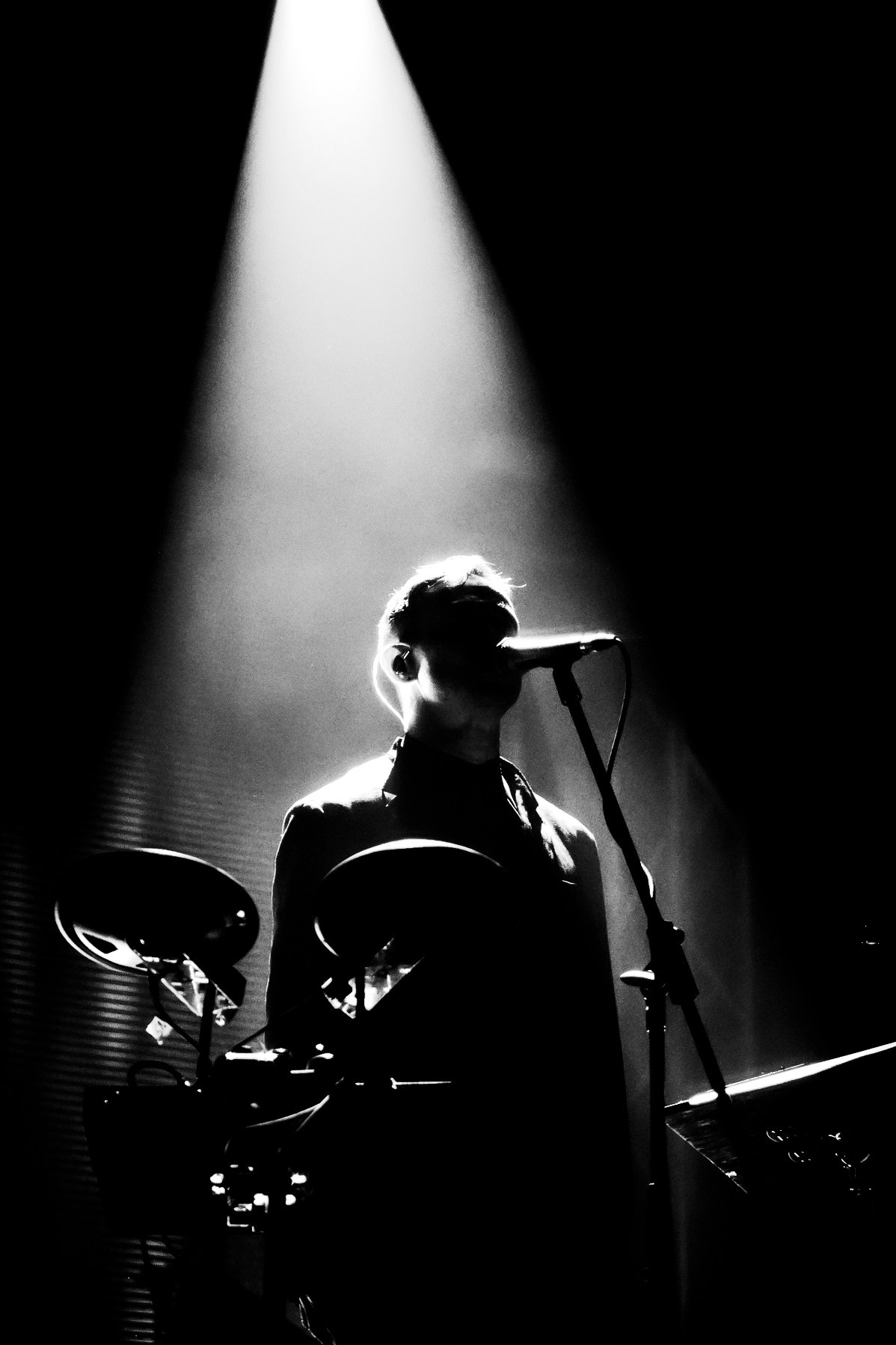 Дельфин. Клуб «Космонавт». 12.11.2022. Фотограф Тая Валюженич