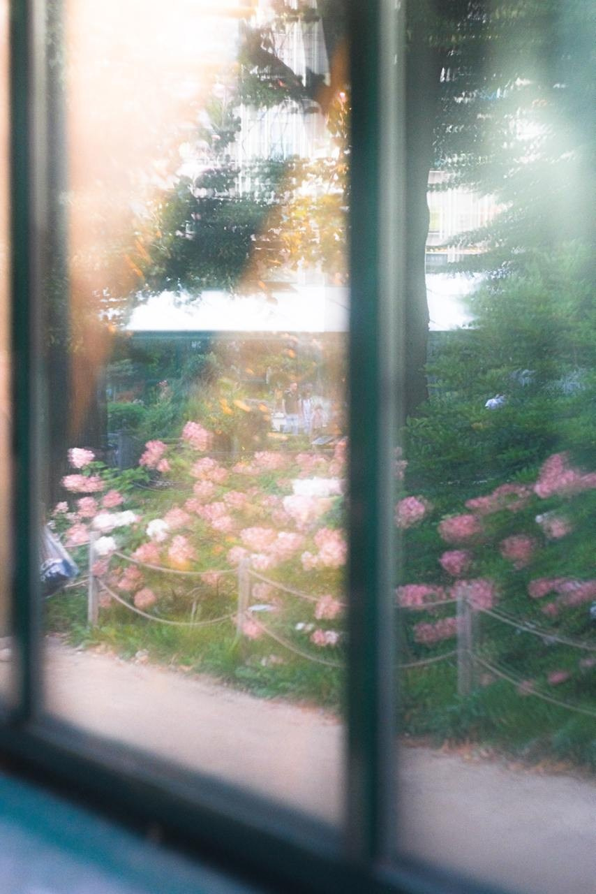 Аптекарский огород. Софа Катастрофа, Одичание. фотохудожница, креативный продюсер, автор. Nude, eros, портретный фотограф