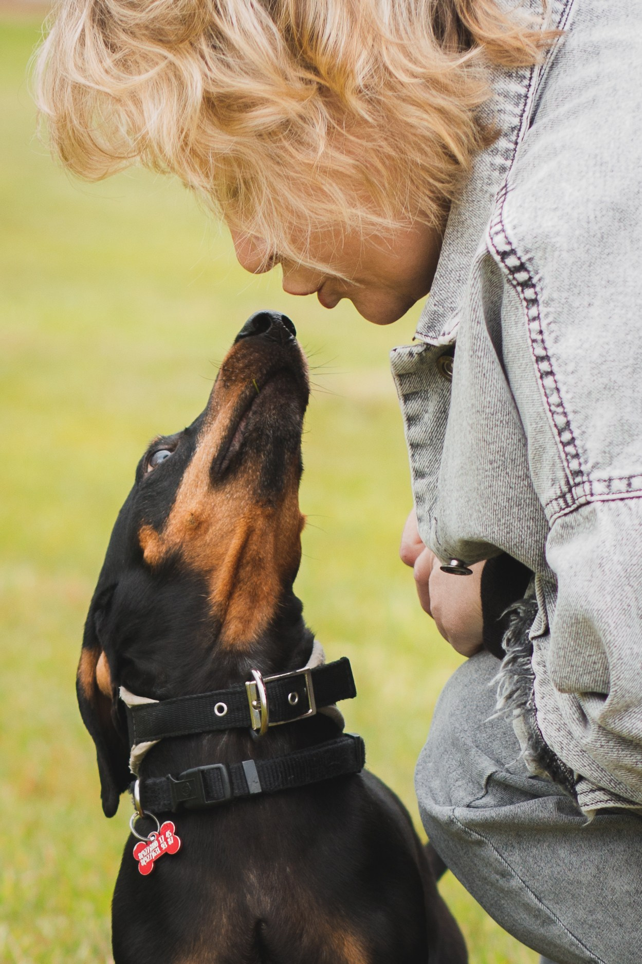 Фотопрогулка большой семьи с двумя собаками летом. Семейный и школьный фотограф в Москве Анна Ткач