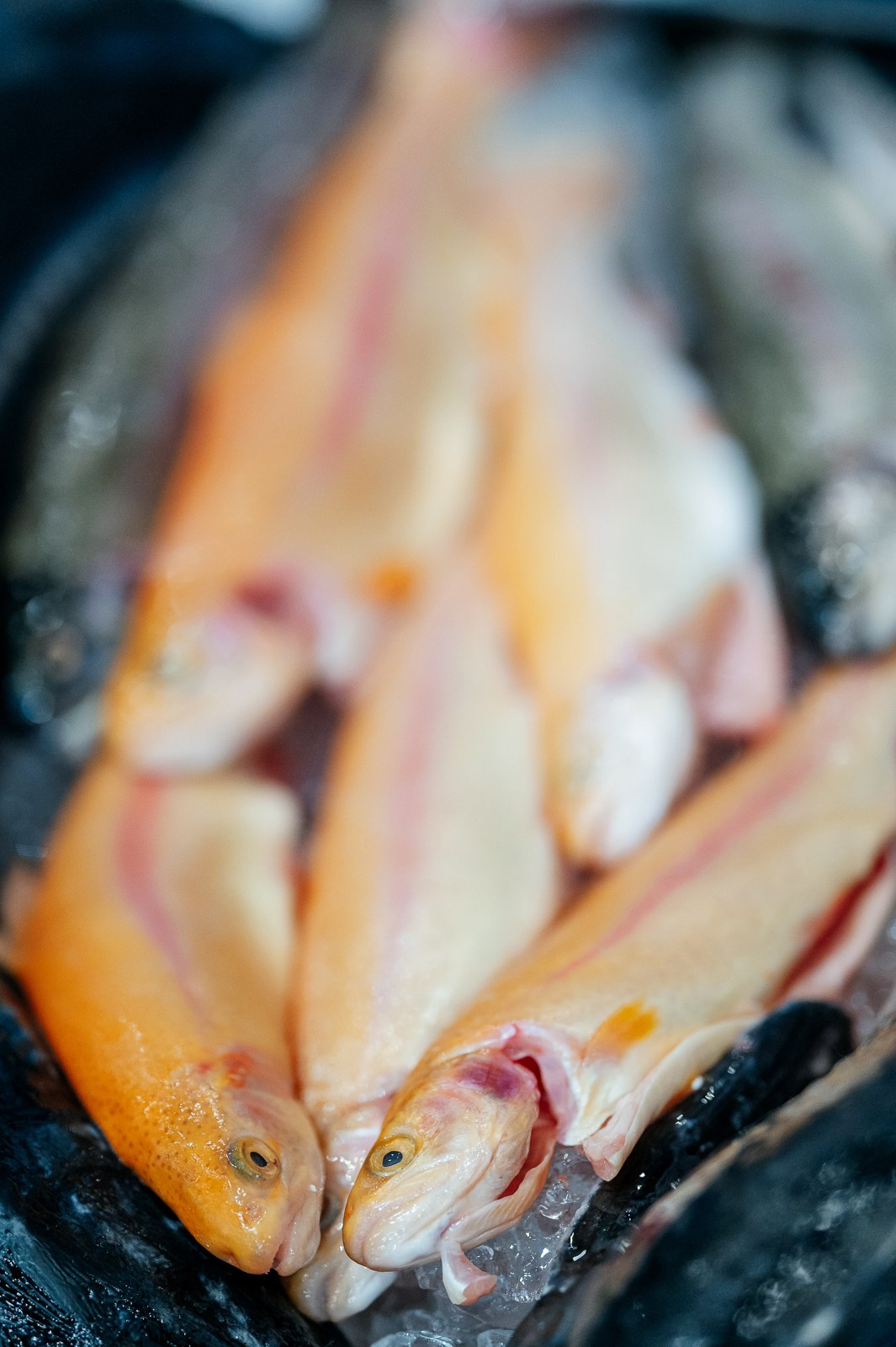 Рыбный форум. Фотограф Дмитрий Сермяжко