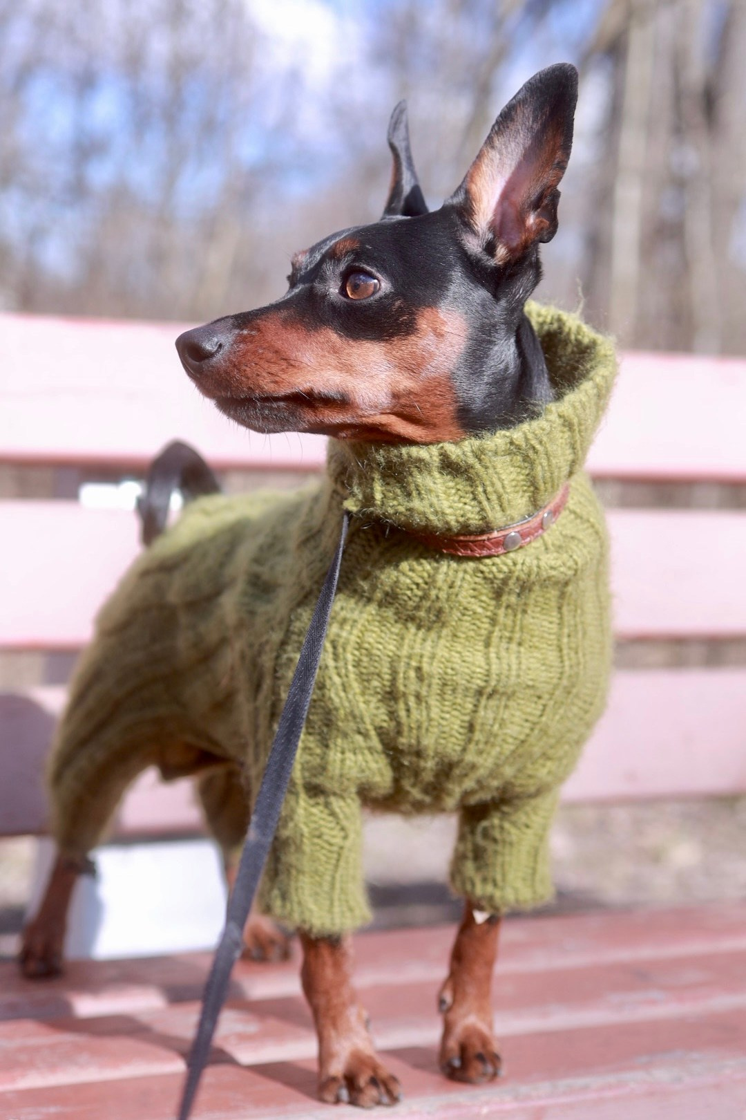 Животные. Художественная фотография