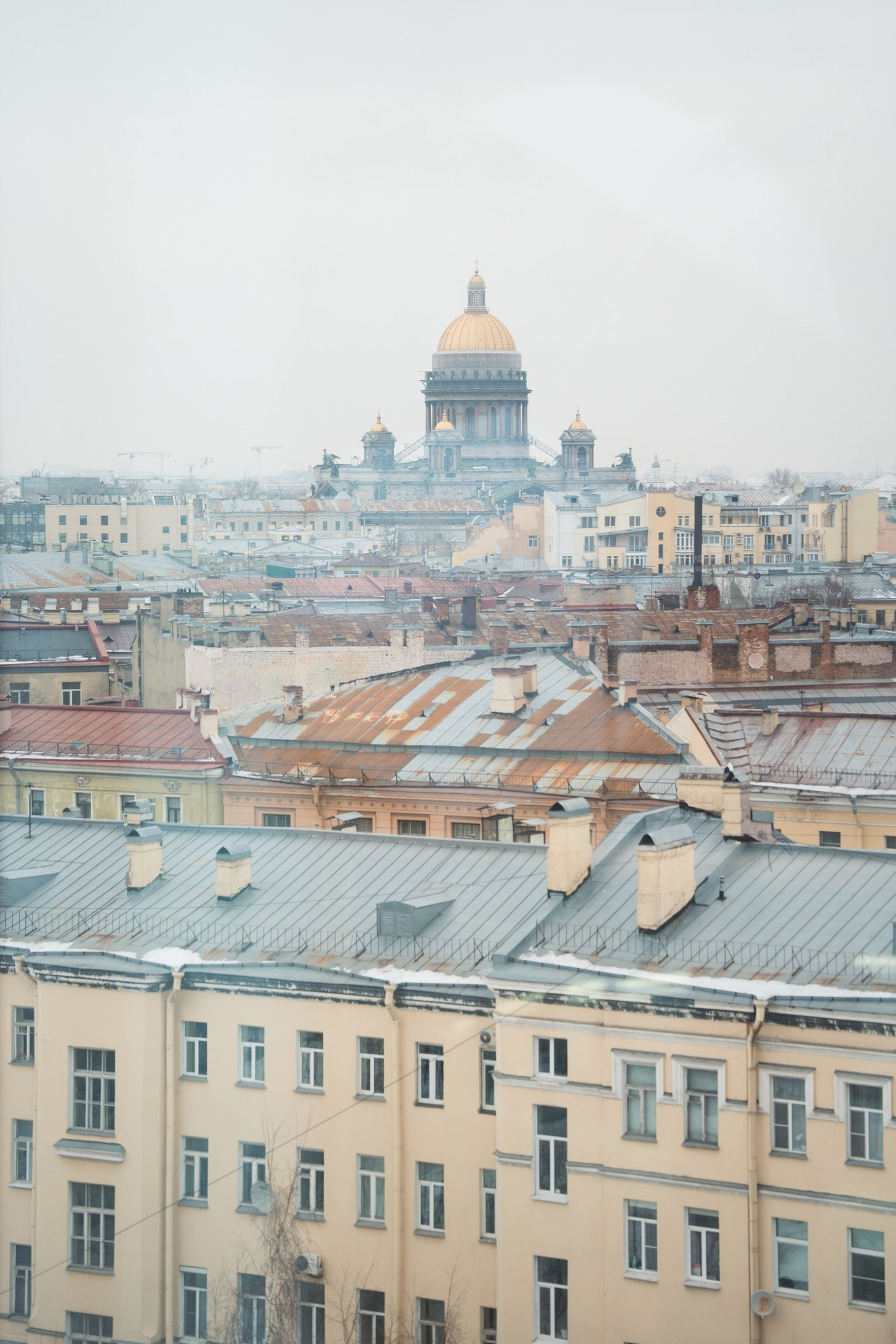 Русьпушнина. Репортажная съёмка в Санкт-Петербурге, Константин Петров
