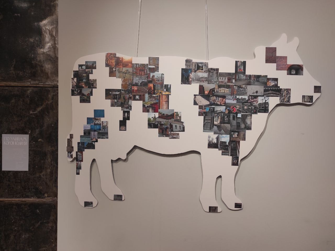 Савельева Ольга. Фотообъединение Самарского областного отделения Союза журналистов России