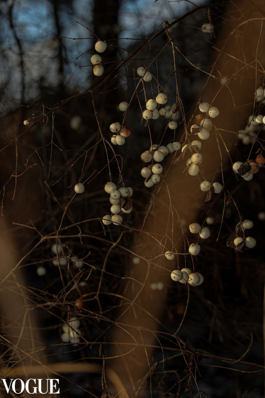 Vogue & iconic. Фотохудожник в СПб