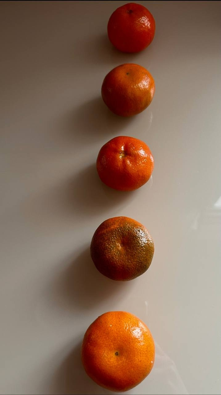 КУРС ПО ФОТО/ВИДЕО СЪЕМКЕ «СЧАСТЬЕ В ПРОСТОМ». Фотография. Визуально-чувственный мир души