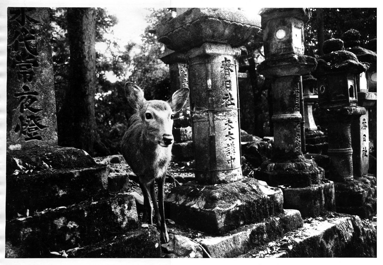 В Осаке - Пить. Выставка фотографий. Рекламный и коммерческий фотограф | Георгий Романов