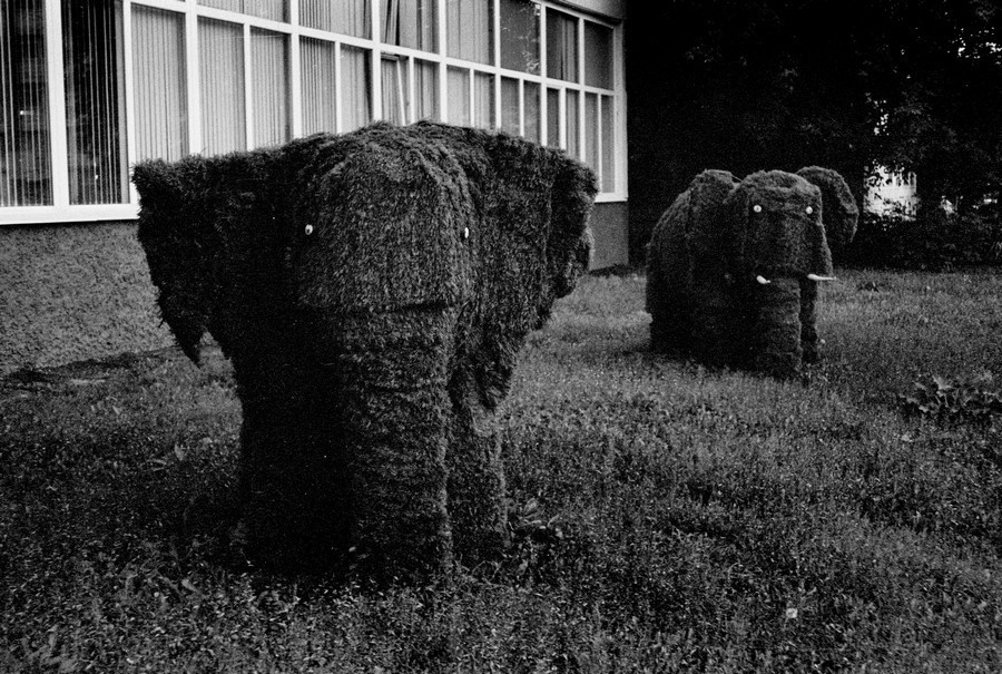 Документальный проект с фотографиями. Рекламный и коммерческий фотограф | Георгий Романов