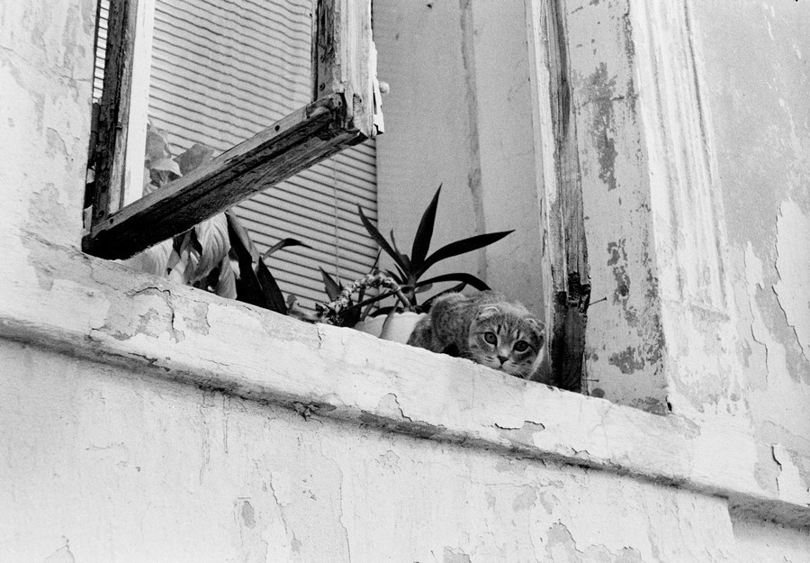 Документальный проект с фотографиями. Рекламный и коммерческий фотограф | Георгий Романов