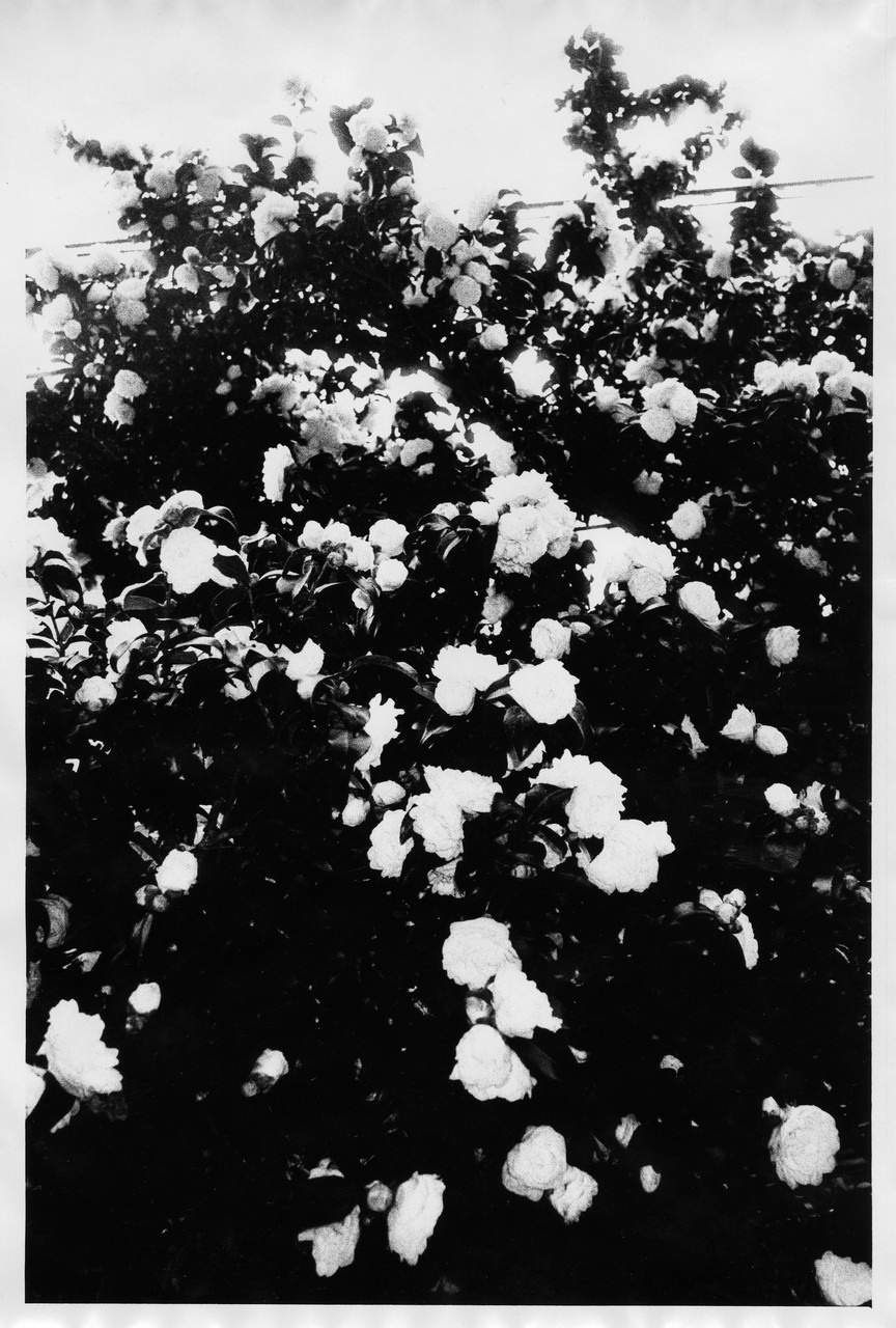 В Осаке - Пить. Выставка фотографий. Рекламный и коммерческий фотограф | Георгий Романов