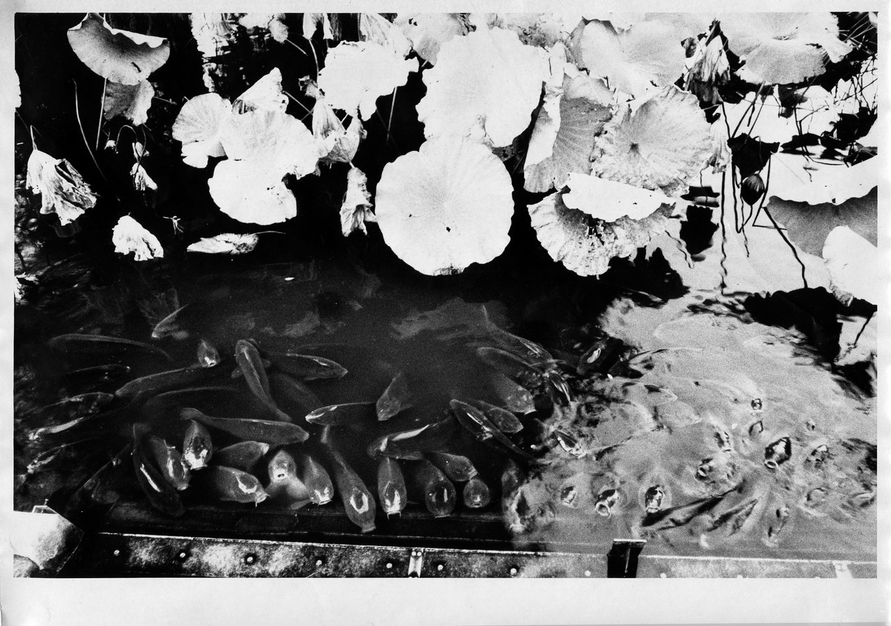 В Осаке - Пить. Выставка фотографий. Рекламный и коммерческий фотограф | Георгий Романов