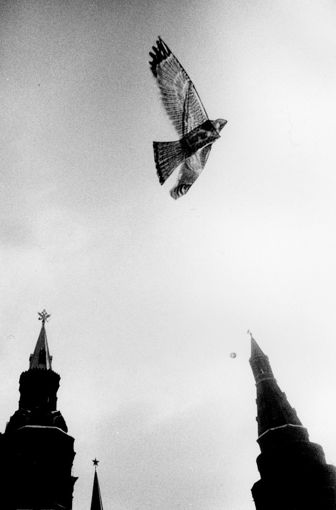 Фрагменты. Рекламный и коммерческий фотограф | Георгий Романов