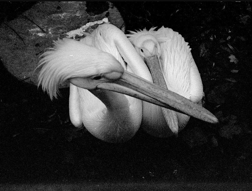 Фрагменты. Рекламный и коммерческий фотограф | Георгий Романов