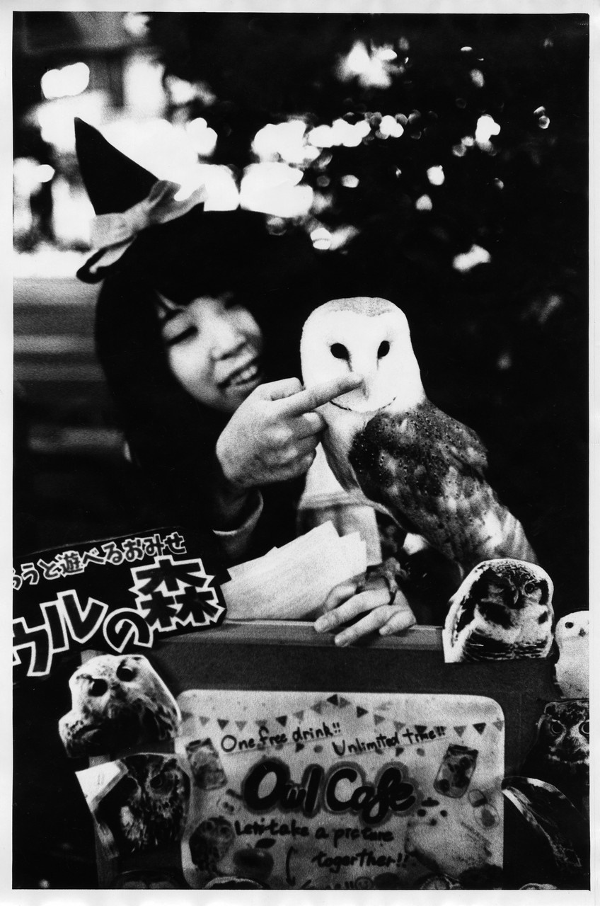 В Осаке - Пить. Выставка фотографий. Рекламный и коммерческий фотограф | Георгий Романов